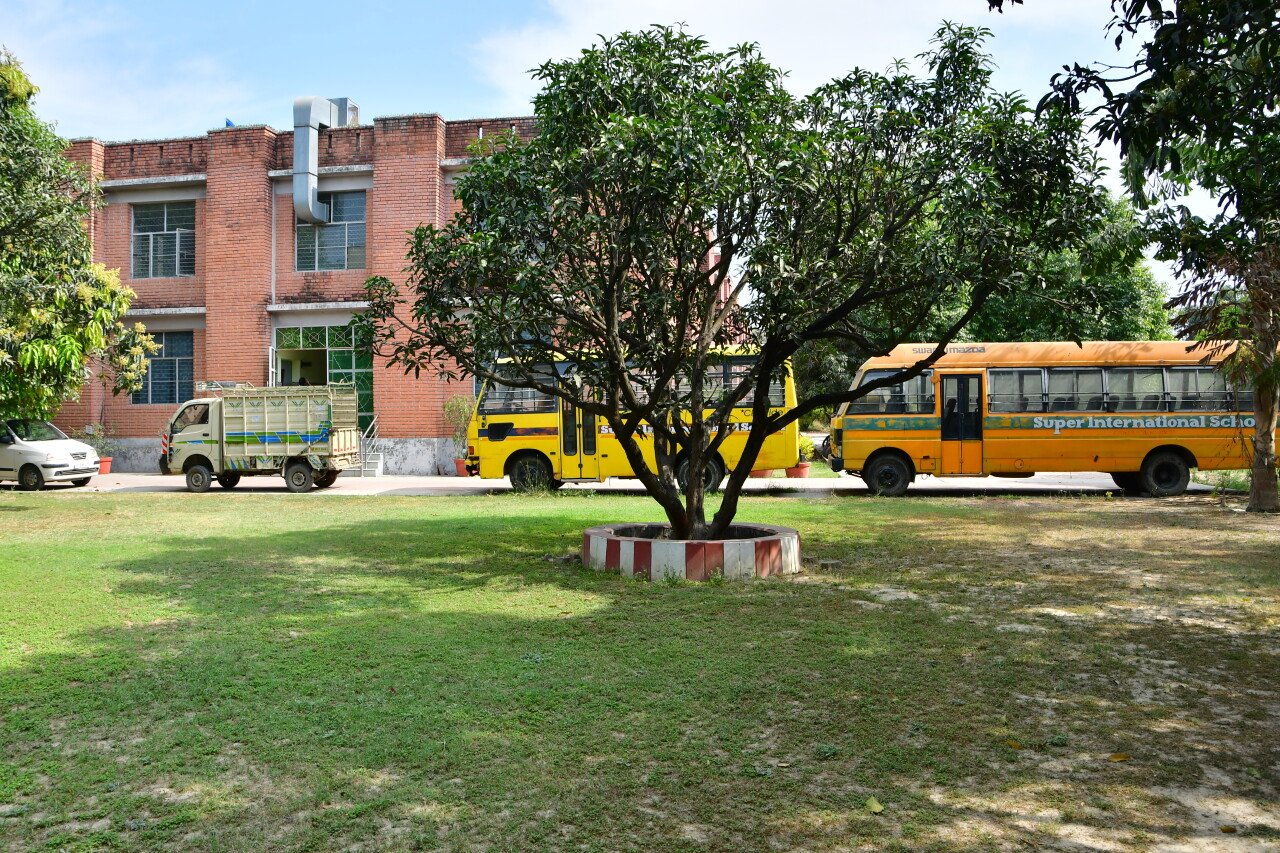 Lush Green Playground