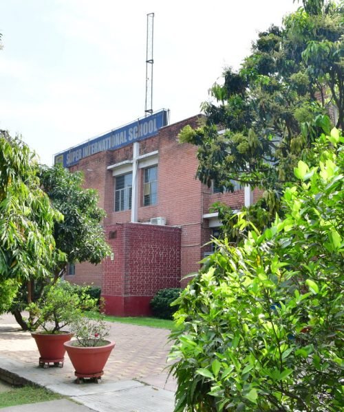 e82df892-ac1c-41a9-8a7e-ac1b0646d973